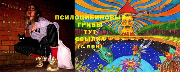 соль курить ск Алзамай