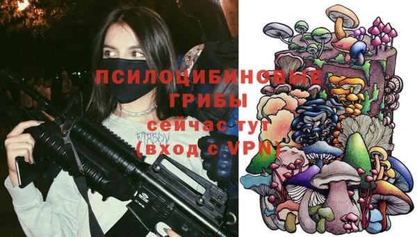 соль курить ск Алзамай